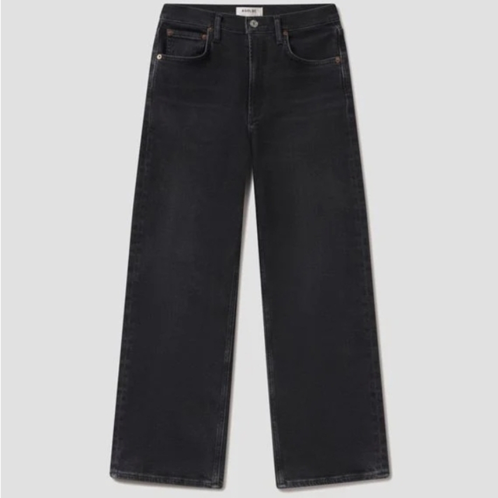 AGOLDE Ren Wide Leg Jeans Women's 30 USA Black High Rise Ankle Denim Organic